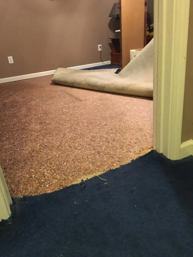 Carpet pad removal revealing water damage during Drying & Dehumidification in Dickson
