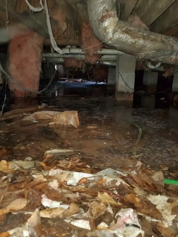 Crawl space flood assessment for Commercial Water Damage Restoration in Dickson