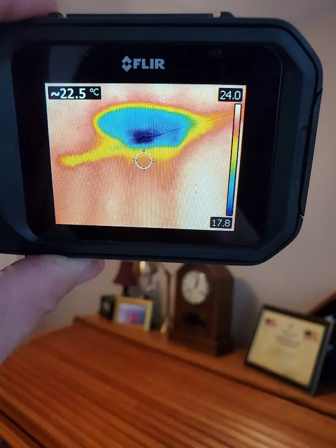 Thermal imaging inspection for water damage in Dickson