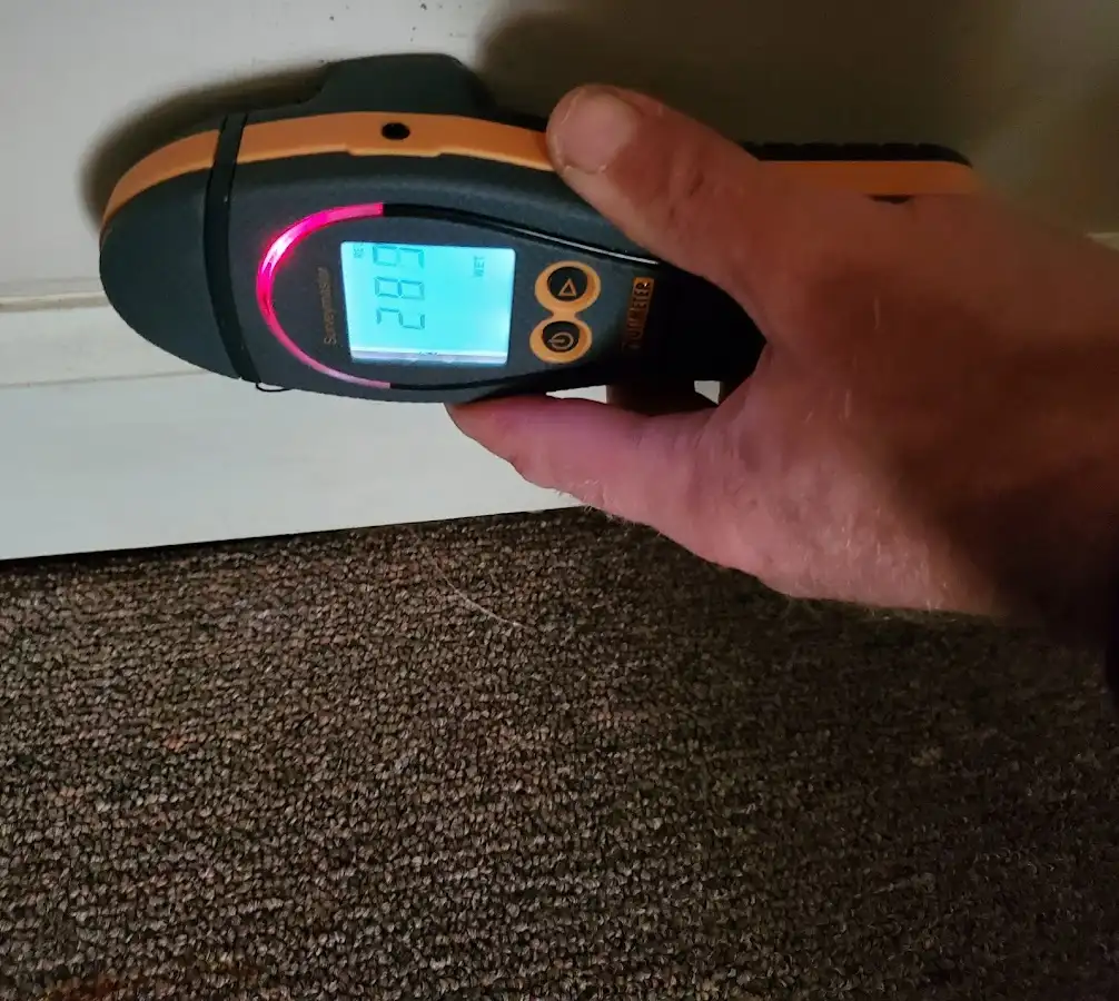 Moisture detection at baseboard during Burst Pipe Cleanup in Dickson
